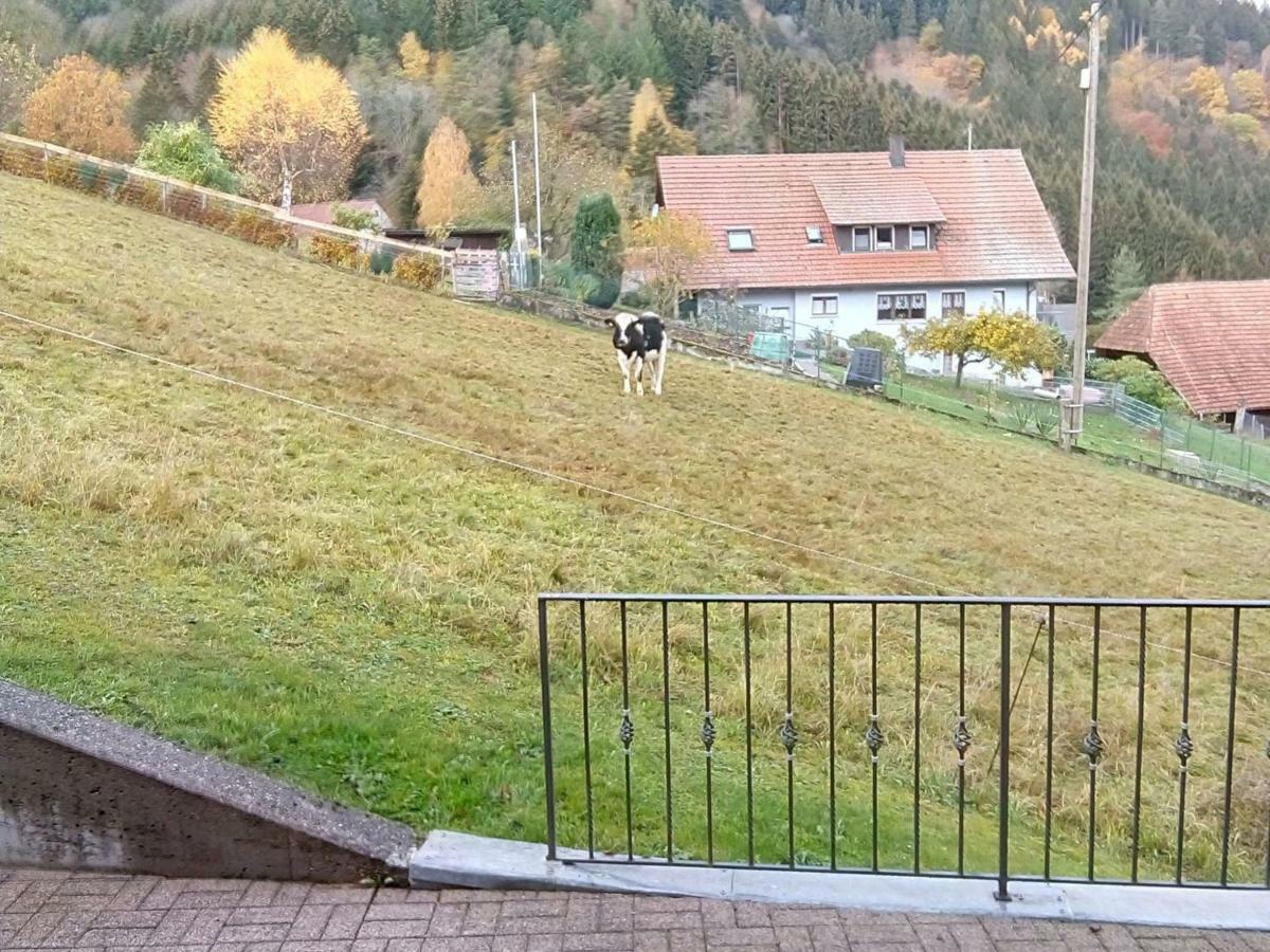 Ferienwohnung Morgensonne Wolfach Exterior foto
